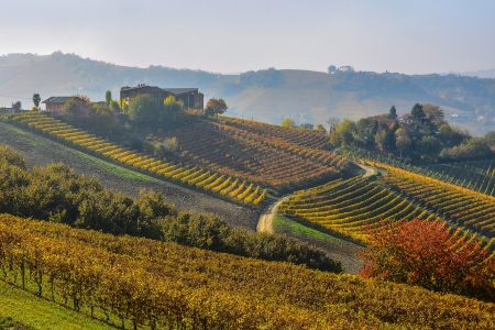 Piemont