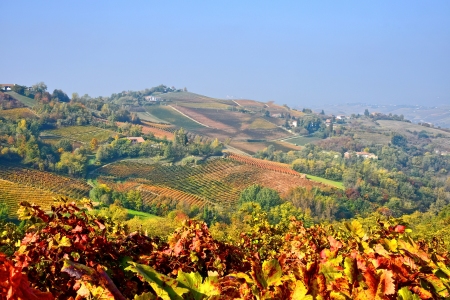 Piemont
