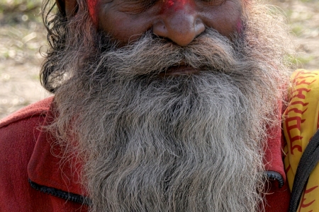 Sadhus